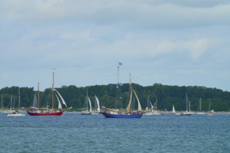 Sailing boats and yachts on calm water with wooded coastline and cloudy sky, Windjammer Parade Kiel