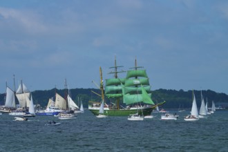 Large sailing regatta on the sea. Various ships, including a striking green sailing ship Alexander