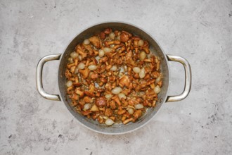 A delicious mix of sauteed mushrooms and pearl onions in a skillet on a clean countertop. The dish