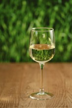 A clear glass filled with white wine sits on a smooth wooden table. The soft green background