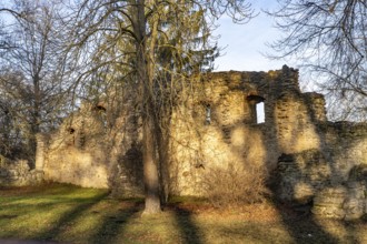 Artificial ruin in the park on the Ilm in Weimar, Thuringia, Germany