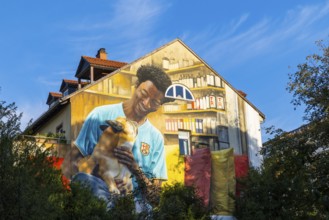 Large graffiti on a house facade, man, sportsman, dog, Märzgasse, Heidelberg, Kurpfalz,