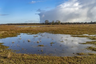 Moor landscape near the village of Bourtange, Groningen, Netherlands