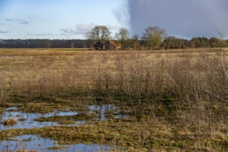 Moor landscape near the village of Bourtange, Groningen, Netherlands