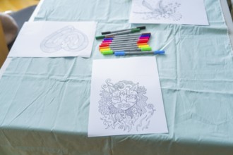 Cat mandala drawing with coloured markers on a table in an office-like environment, Youth Research
