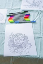 Detailed cat drawing on paper with coloured markers on a table, Youth Research Centre