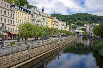 Old town, spa, healing spring, health, mineral, mineral water, illness, Karlovy Vary, Bohemia,