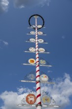 Guild tree of the craftsmen, city centre, Bayreuth, Upper Franconia, Franconia, Bavaria, Germany