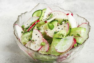 A vibrant vegetable salad is prepared with slices of radishes and cucumbers, garnished with herbs