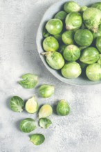 Fresh Brussels sprouts, raw, top view, on a gray table, no people