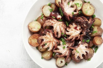 Baby grilled octopus with golden baked potatoes and fresh herbs, Maltese cuisine, homemade, no