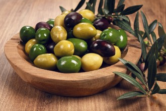 A mixture of olives, varieties of chalkidiki, Verdi giganti and Kalamata, in a bowl, top view, no