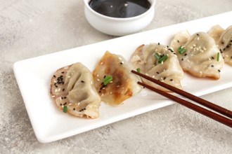 Gyoza Japanese dumplings, fried, with sauce, green onion, and sesame seeds, natural color, light