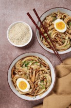Buckwheat noodles soba with shimeji mushrooms, with boiled egg, green onion, sesame seeds,