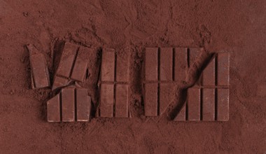 Chocolate bars broken and scattered on cocoa powder background with rich texture and color