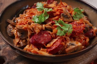 Bigos, bigos Polish dish, stew with cabbage and chorizo sausages, mushrooms, homemade, no people