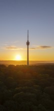 Sunrise over a television tower and forest, the golden sun is low in the sky, Stuttgart,