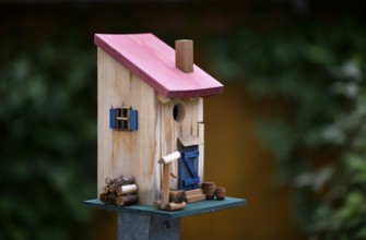 Bird house, bird house, for tits, garden, Stuttgart, Baden-Württemberg, Germany