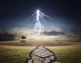 Life Concept. Existence survival being consciousness. Growth of new life, AI generated