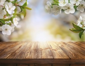 Beautiful blurred spring background nature with blooming flowers behind wooden planks, AI generated