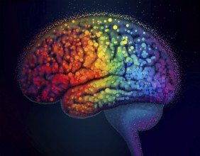 Vivid artistic interpretation of a human brain featuring a spectrum of colors and dotted patterns.