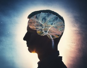 A creative representation of a human head silhouette incorporating an illuminated brain. The image