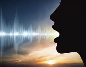 A silhouette of a person speaking with stylized sound waves emanating, set against a stunning