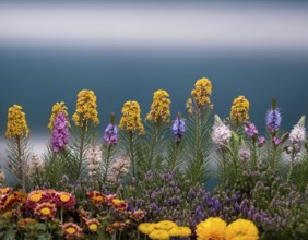 A variety of colorful wildflowers flourish on a hillside against a blurred mountainous backdrop.