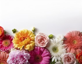 Beautiful arrangement of multiple vibrant wildflowers laid on a clean white surface, perfect for
