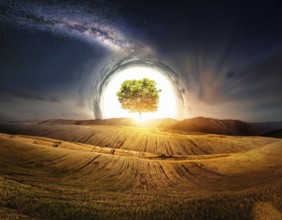 Life Concept. Existence survival being consciousness. Growth of new life, AI generated