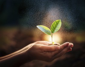 Life Concept. Existence survival being consciousness. Growth of new life, AI generated