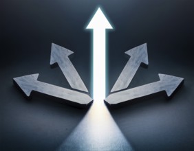 A bold blue arrow pointing upward, surrounded by four silver arrows. Represents leadership,