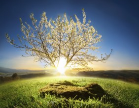 Life Concept. Existence survival being consciousness. Growth of new life, AI generated