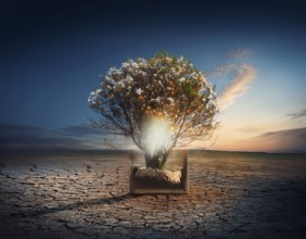 Life Concept. Existence survival being consciousness. Growth of new life, AI generated