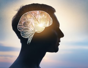 A creative representation of a human head silhouette incorporating an illuminated brain. The image