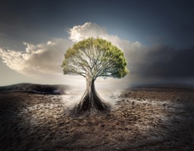 Life Concept. Existence survival being consciousness. Growth of new life, AI generated