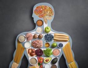 Creative concept showcasing a human silhouette filled with a variety of nutritious foods including