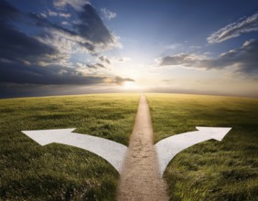 Directional Signpost at Forked Path Illustrating Decision and Choices in Nature, AI generated