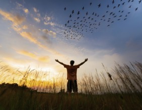 A silhouetted figure standing in a vibrant field, arms wide open, admiring the beauty of the