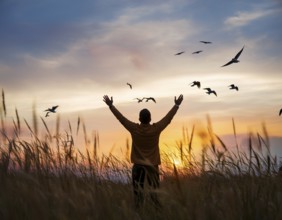 A silhouetted figure standing in a vibrant field, arms wide open, admiring the beauty of the