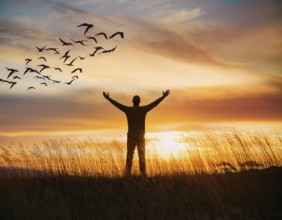 A silhouetted figure standing in a vibrant field, arms wide open, admiring the beauty of the