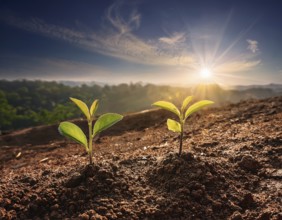 Life Concept. Existence survival being consciousness. Growth of new life, AI generated