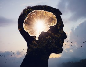 A creative representation of a human head silhouette incorporating an illuminated brain. The image