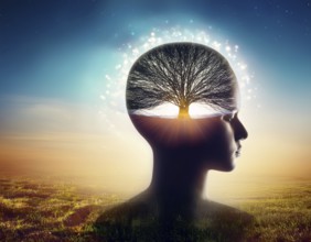 Conceptual artwork showcasing the silhouette of a person overlapping with a serene natural scene,