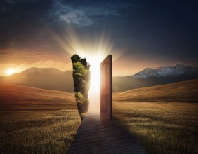 Life Concept. Existence survival being consciousness. Growth of new life, AI generated