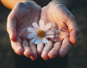 A gentle hand carefully holds a small flower with adarl color background, AI generated