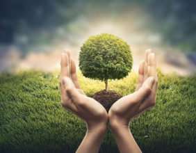 Life Concept. Existence survival being consciousness. Growth of new life, AI generated