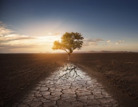Life Concept. Existence survival being consciousness. Growth of new life, AI generated