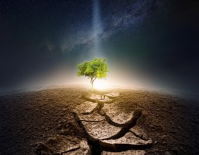 Life Concept. Existence survival being consciousness. Growth of new life, AI generated