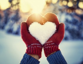 Serene winter scene showcasing hands in gloves holding a snow heart symbolizing love and warmth, AI